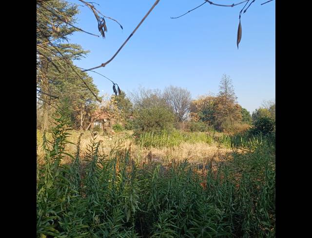 4,006M² VACANT LAND FOR SALE IN HIGHBURY
